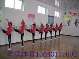 沧州舞蹈把杆厂家 落地式舞蹈把杆 固定舞蹈把杆