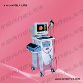 可视人流（KN-2600）