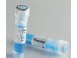 糖化血红蛋白（HbA1c）单克隆抗体