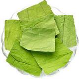 干荷叶大量微山湖纯青色荷叶保质保量