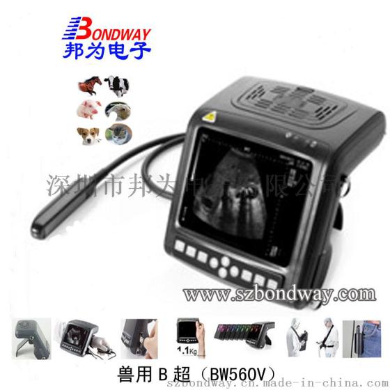 兽用B超 宠物B超 B超仪 医疗设备 医疗仪器 怎么使用？ 多少钱？