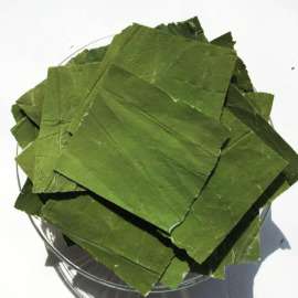 大量供应优质纯天然整张干荷叶