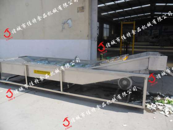 叶类气泡蔬菜清洗机 蔬菜清洗机厂家