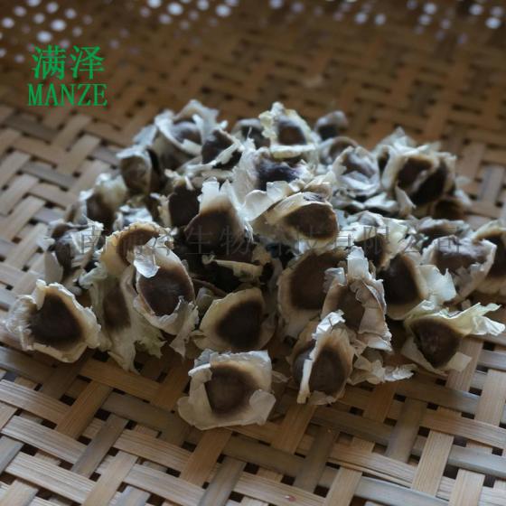 云南满泽辣木籽，云南辣木籽产品，云南辣木籽价格