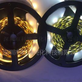供应2835灯带 LED软灯条RGB 12V低压 贴片 60灯/米 裸板不防水  厂家直销