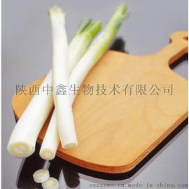 大葱白脱水蔬菜粉 厂家现货供应优惠绿色大葱白脱水蔬菜粉