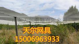 尼龙防鸟网比聚乙烯防鸟网有什么好处