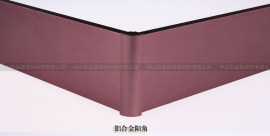 地脚线 (P812-5)
