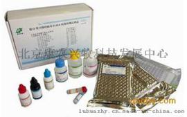 BVD牛病毒性腹泻病毒抗原（种毒） （种毒AV69)-北京康农兴牧