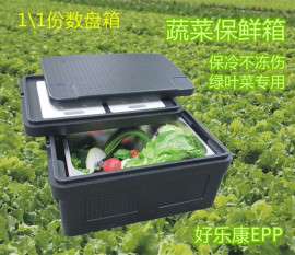 蔬菜保温箱EPP泡沫保鲜箱海鲜配送冷藏箱39L
