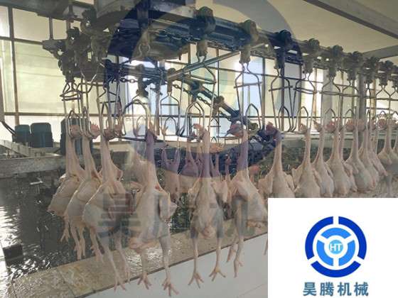 昊腾HT鸡宰杀流水线的市场行情