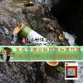 山东竹筒酒厂 招总代理 批发加盟