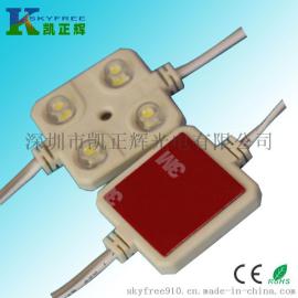 供应4led车内饰车顶灯 12v 防水带5米线 模组