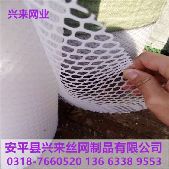 雏鸡脚踏网，小孔塑料网厂家，漏粪小孔塑料网