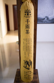特惠包邮湖南安化黑树黑茶特优千两茶