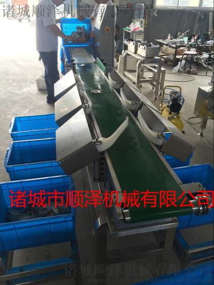 顺泽机械专业供应鲍鱼分级机  扇贝分级机  生蚝分级机  螃蟹分级机