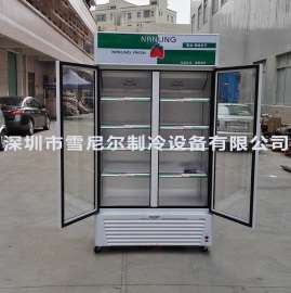 南凌冷柜 冰柜 立式双门冷藏展示柜 LG-518 饮料/啤酒柜