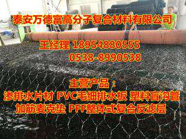厂家自产低价供应加筋麦克垫 渗排水片材 山东万德富 18954880555
