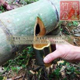 广东竹筒酒2016厂家招商项目，广东竹筒酒批发代理加盟合作