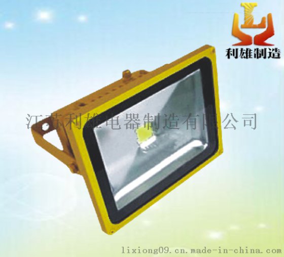 防爆投光灯，LED投光灯，LED防爆投光灯，小功率投光灯