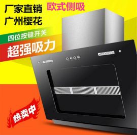 厂家直销侧吸式大功率抽油烟机28叠双电机