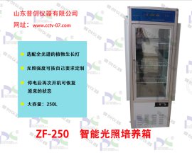 山东普创仪器 智能光照培养箱 型号：ZF-250