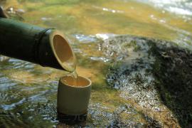 竹筒酒厂家，竹筒酒创始人，正宗竹筒酒，
