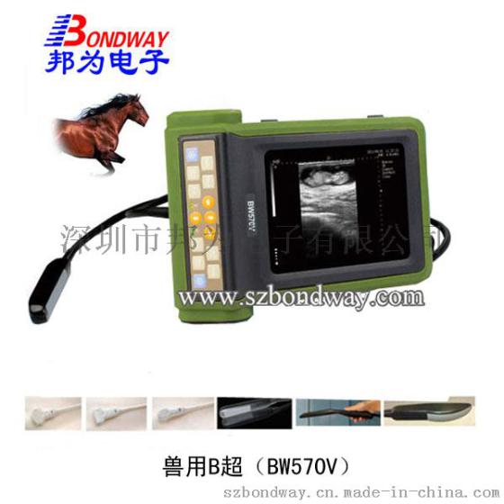 兽用B超机器 （邦为）厂家直销B超机 便携式兽用B超