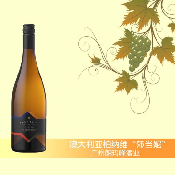 澳大利亚柏纳维“莎当妮”T-0360008