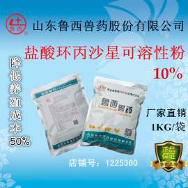 盐酸环丙沙星可溶性粉2%