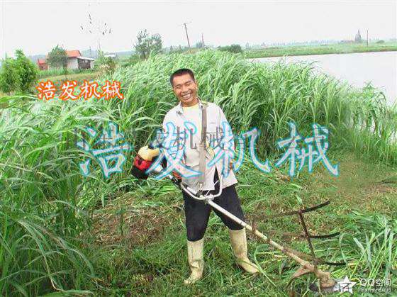 汽油割草机 割草机价格 大马力汽油割草机报价