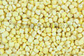 顶能脱水玉米 脱水蔬菜