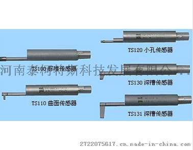 TS100/TS110/TS120/TS130传感器