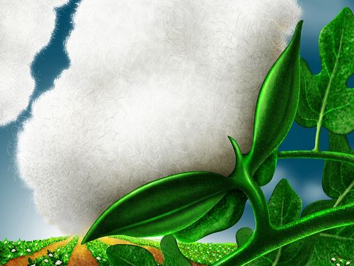 射阳纺企竞买数量突显 