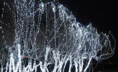 LED照明垄断国内市场仍需时日 