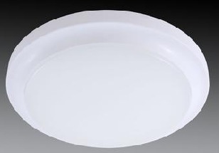 LED吸顶灯下半年销量赤手可热 