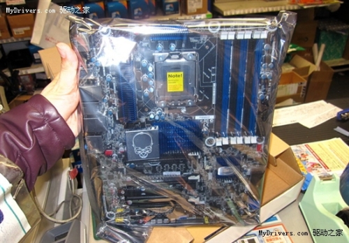 Intel X58两款新主板上市 