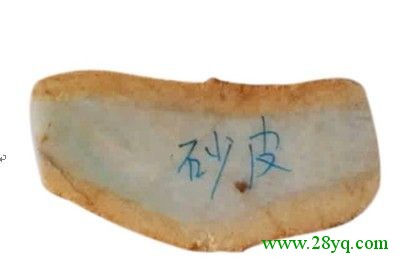皮雾肉 皮雾肉