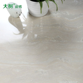 客厅玻化砖（DP8891）