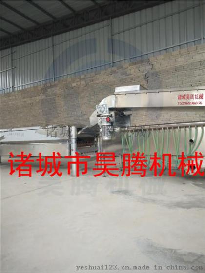诸城市昊腾机械厂专业生产机械化鸽子脱毛机