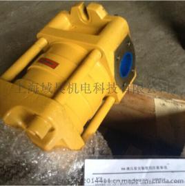 IGP3-H010齿轮泵