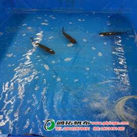江门防水帆布厂家_阳江游泳池养殖池定制_PVC夹网帆布价格