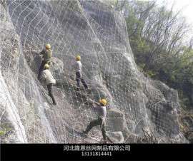 河北SNS柔性防护网