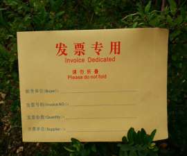 地税票专用信封250*185mm 自带不干胶