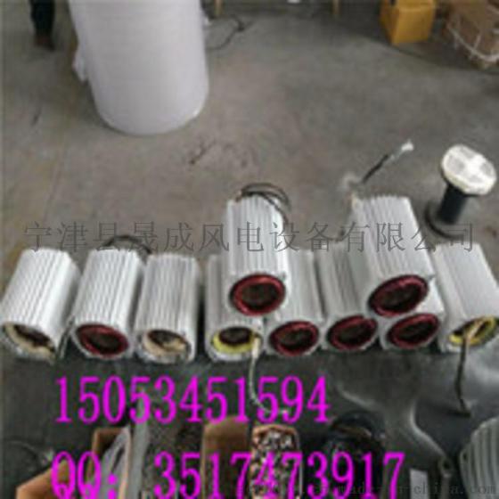 晟成5000W小型家用永磁 景观家用风力发电机