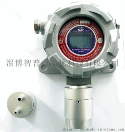 MC500空间臭氧检测仪