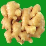 保鲜姜（200g-250g-300g-350g及以上）