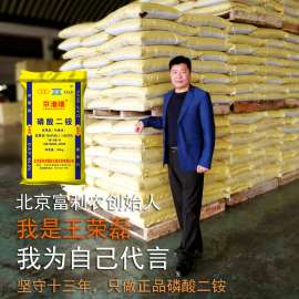 磷酸二铵厂家直销优质64%京港瑞