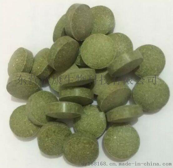 辣木叶粉片代加工 辣木叶片贴牌加工 辣木叶粉片代加工贴牌厂家