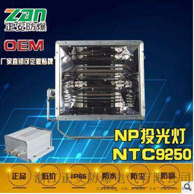1000（W）/NTC9250投光灯